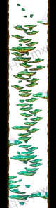 北部森林通道
