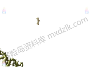 森林岔道