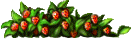 草药丛