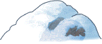 积雪