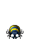 黃蜘蛛