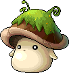 苔蘚菇菇